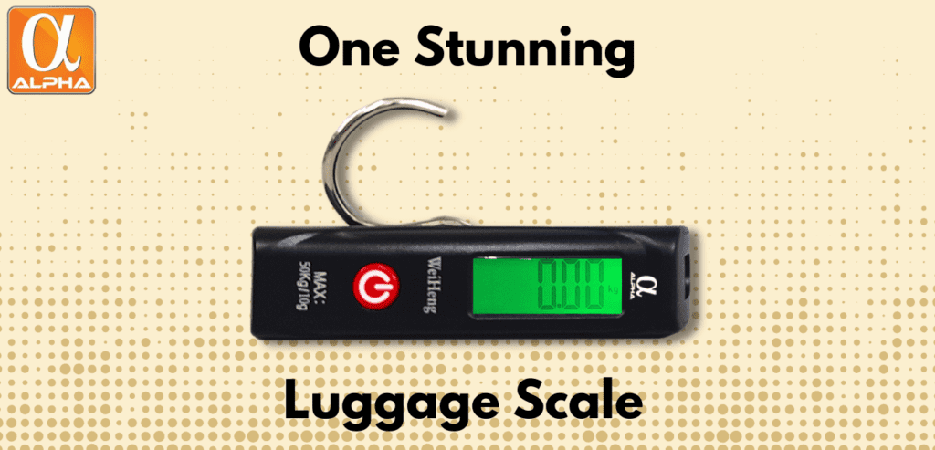one stunning luggage scale