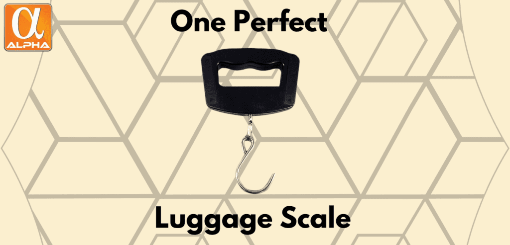 one perfect luggage scale