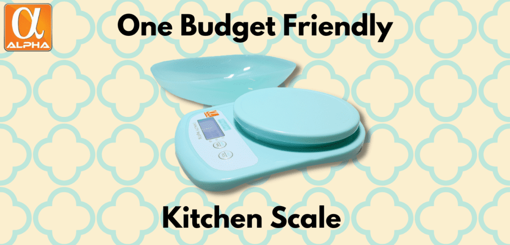 1 Budget-friendly Kitchen Scale