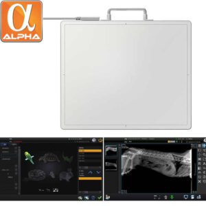 Medical Mobile Portable Digital X Ray Machine Flat Panel Detector