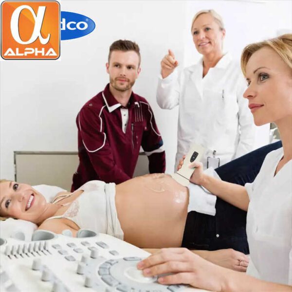 Medical WiFi Mini Handheld Portable Echo Wireless Digital Ultrasound Scanner Machine Instruments - Image 5