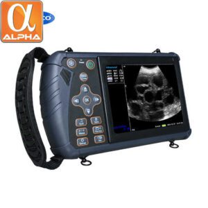 Portable Mechanical Fan Sweep Scanner for Veterinary Ultrasound Machine Veterinary Instrument