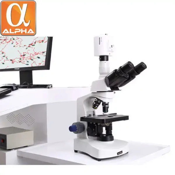Trolley Veterinary Sperm Analysis Machine Digital Ultrasonic Diagnostic Vet Veterinary Ultrasound Scanner Pl-6800t Medical Equip - Image 5