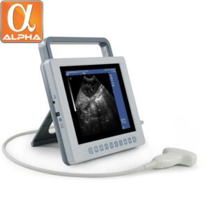 Veterinary Full Digital B Mode Ultrasound Scanner for Larger Animal