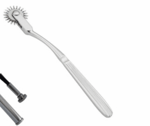 Gear Wheel Reflex Hammer