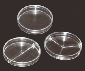 Petri Dishes